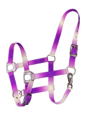 Showman Premium nylon Horse sized ombre halter with nickel plated hardware #5